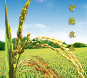 智能農(nóng)業(yè)環(huán)境監(jiān)測(cè)方案