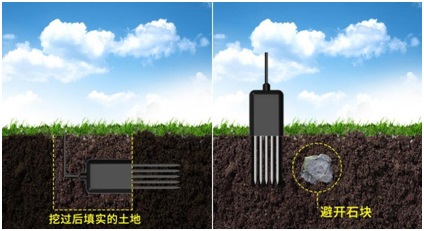 土壤傳感器